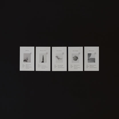Discovery Mouillette Card Set